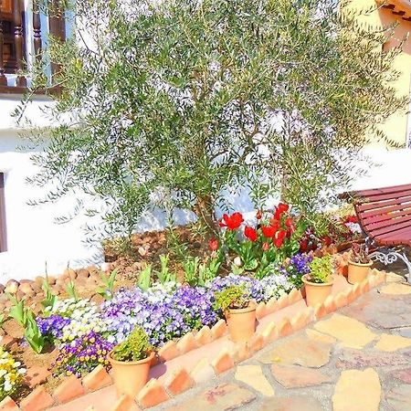 Hotel Shima Chichukaimura Екстер'єр фото